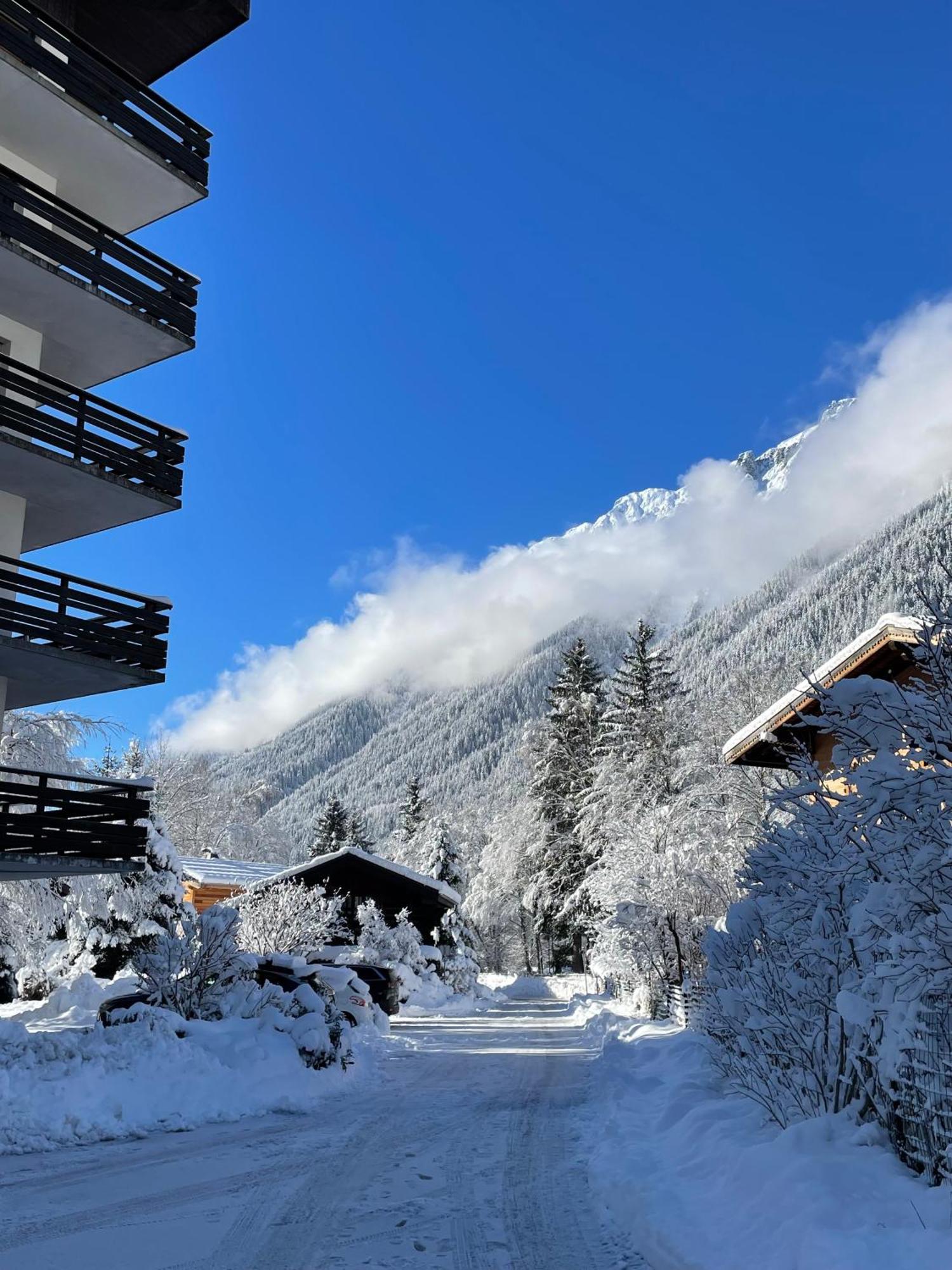 Residence Bois Du Bouchet, Appartement Vue Montagne, Calme, Parking Gratuit, Proche Centre Шамони Екстериор снимка