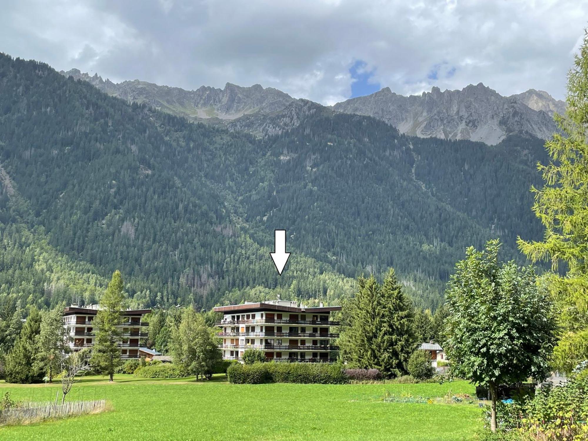 Residence Bois Du Bouchet, Appartement Vue Montagne, Calme, Parking Gratuit, Proche Centre Шамони Екстериор снимка