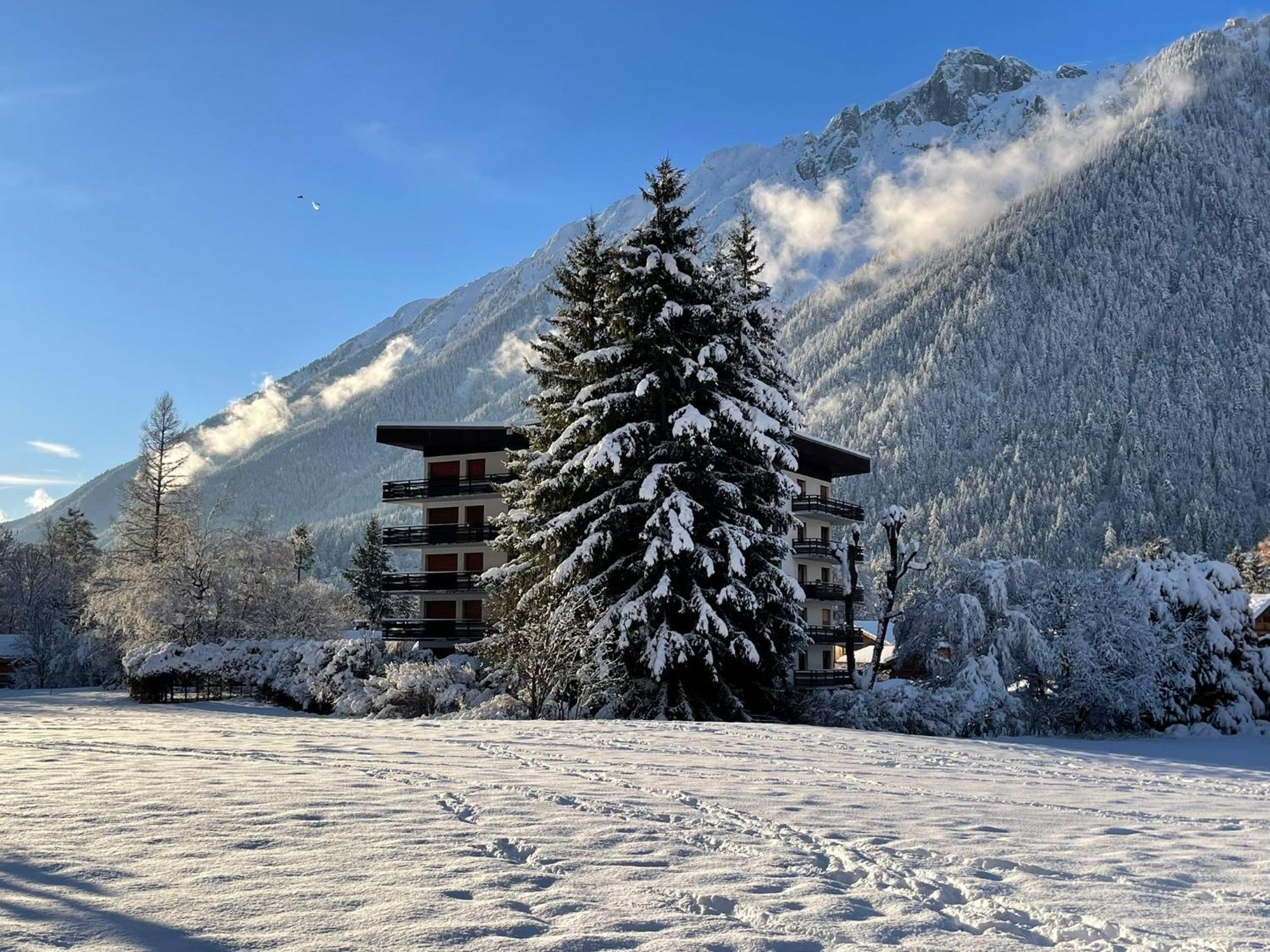 Residence Bois Du Bouchet, Appartement Vue Montagne, Calme, Parking Gratuit, Proche Centre Шамони Екстериор снимка